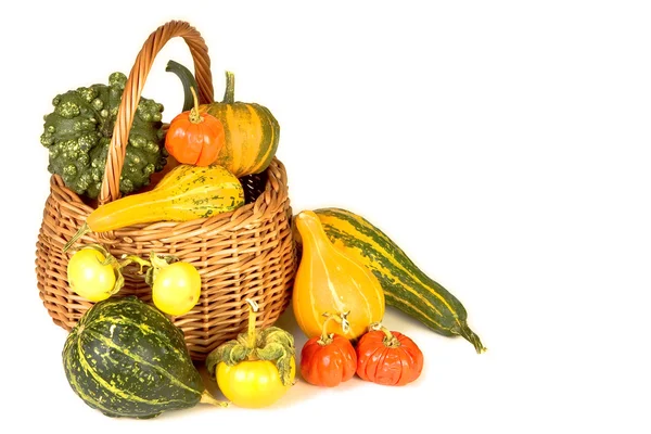 Basket of plenty — Stock Photo, Image