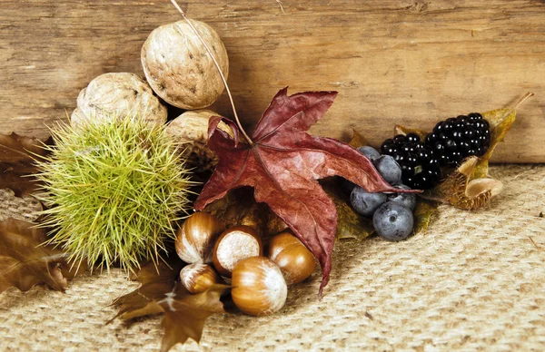 Chestnuts and berry fruit — Stock Photo, Image