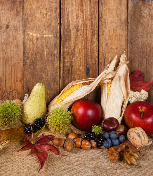 Corncobs ve sonbahar meyve — Stok fotoğraf