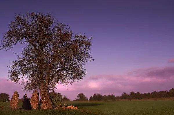 Menhir-Besuch — Stockfoto