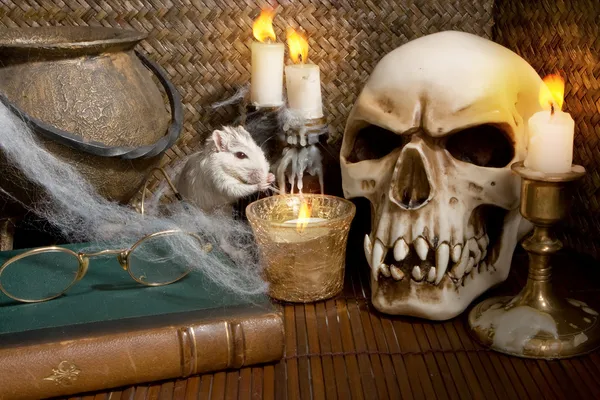 Halloween rat — Stock Photo, Image