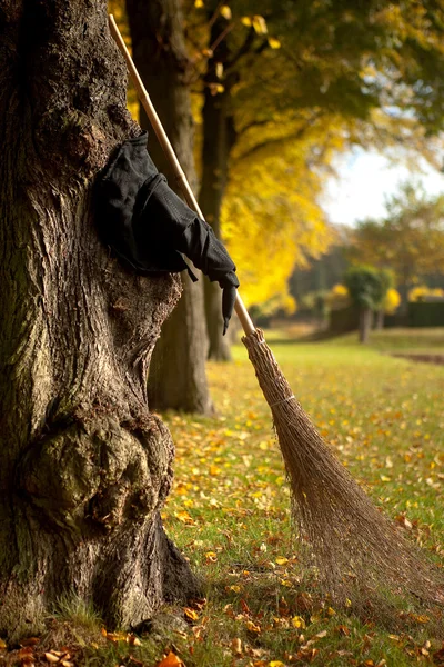 Witch hat and broom in autumn — Stock Photo, Image