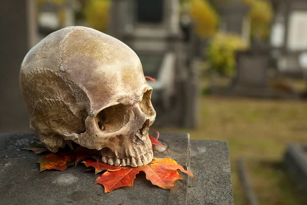 All Saint's skull on a tombstone — Stock Photo, Image