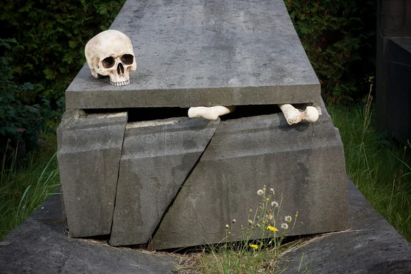 Halloween csontok — Stock Fotó