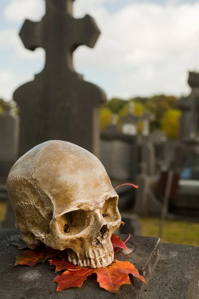 Alle Saint's schedel op een graf — Stockfoto
