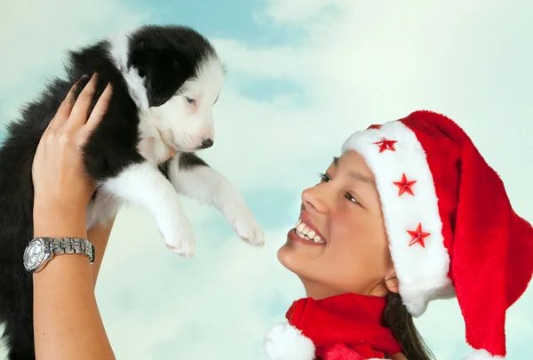 Merry christmas köpek yavrusu — Stok fotoğraf