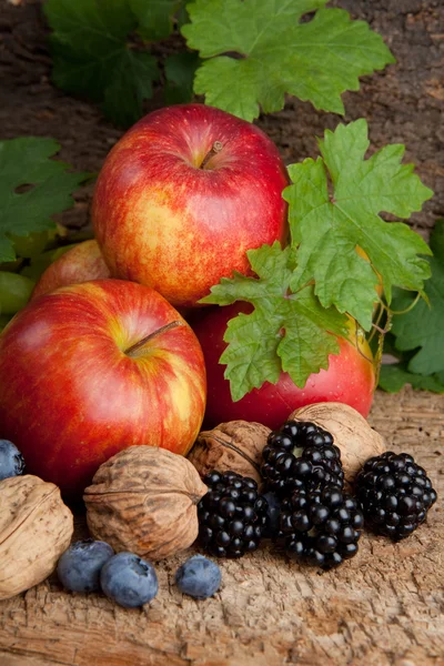 Autumn berries for Thanksgiving — Stock Photo, Image