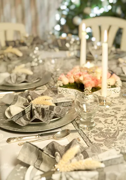 Cena di Natale in famiglia — Foto Stock