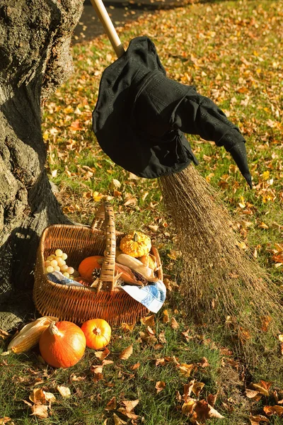 Cesta de abóbora de Halloween e chapéu — Fotografia de Stock