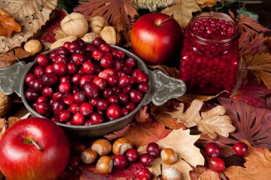 Thanksgiving fruits clipart