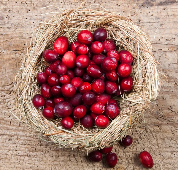 Ninho de cranberries — Fotografia de Stock