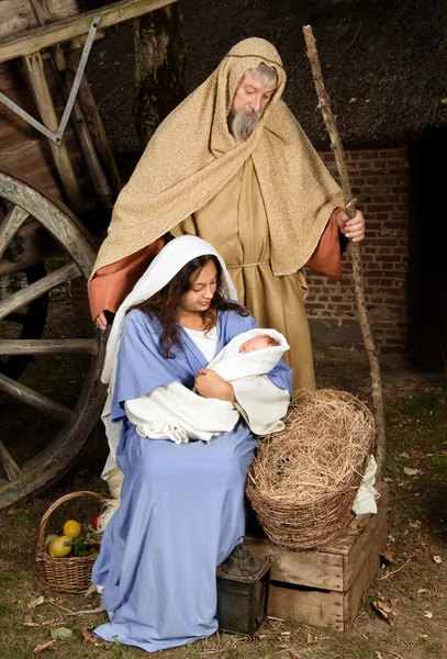 Levande julkrubba — Stockfoto