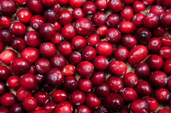 Cranberry wallpaper — Stock Photo, Image