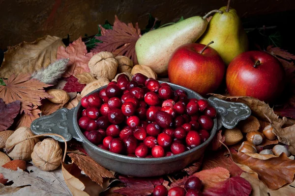 Autumn cranberries and nuts — Stock Photo, Image