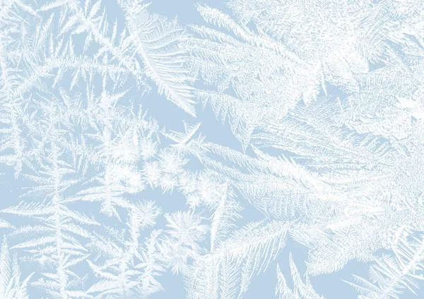 Frost stars — Stock Photo, Image