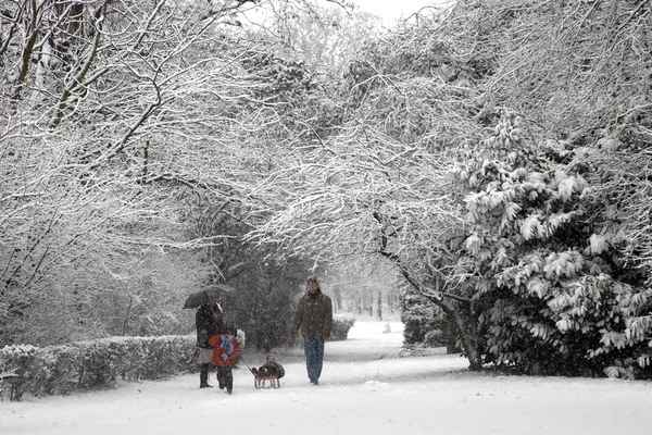 Snow walk — Stock Photo, Image