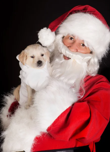 Papai Noel com cão golden retriever — Fotografia de Stock