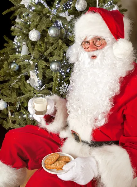 Cookies och mjölk till tomten — Stockfoto