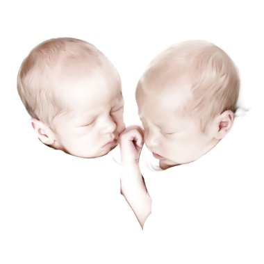 yüksek anahtar İkizler portre