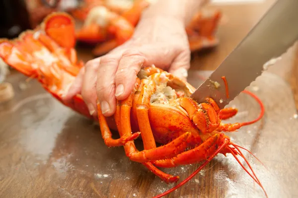 Préparation du homard — Photo