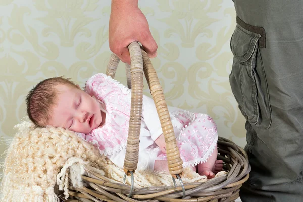 Baby in shopping basket — Stock Photo, Image