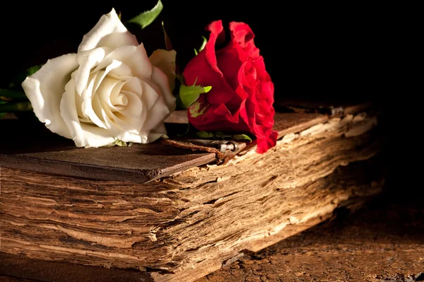 Flowers on antique book — Stock Photo, Image