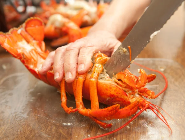 Cutting a lobster — Stock Photo, Image