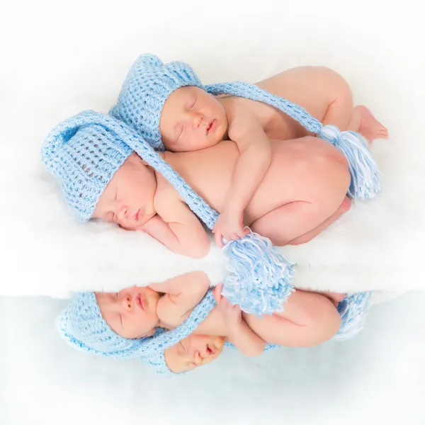 Cuatrillizos o gemelos — Foto de Stock