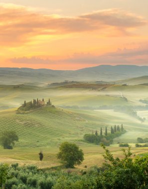 Morning in Tuscany clipart