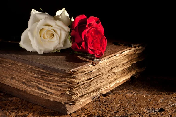 Fresh roses on old book — Stock Photo, Image