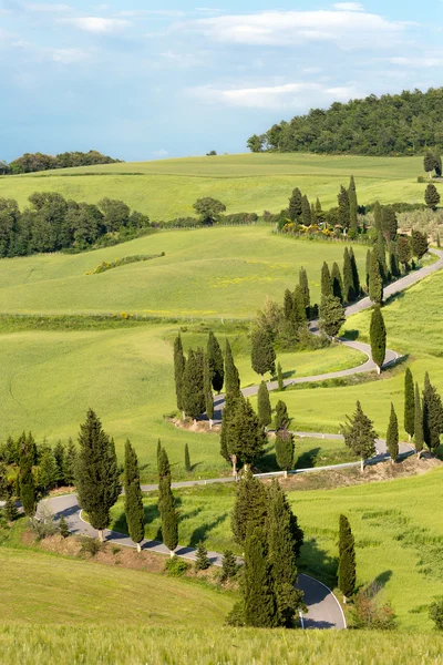 Estradas sinuosas da Toscana — Fotografia de Stock