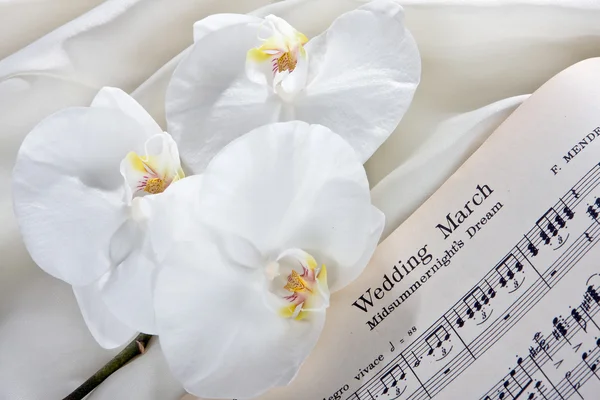 Orquídeas nupciais — Fotografia de Stock