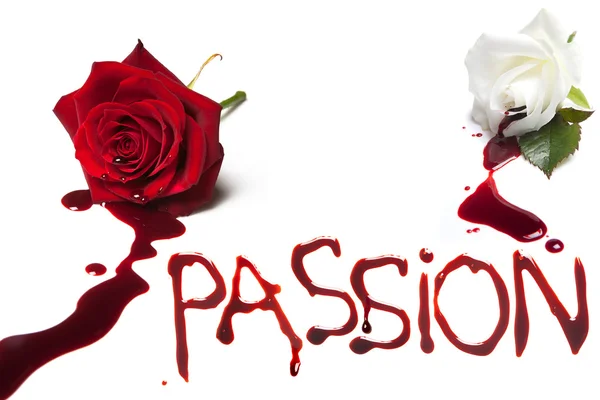 Rosas sangrantes para la pasión — Foto de Stock