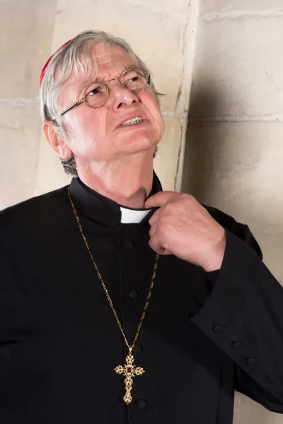 Cardinal with pinching collar — Stock Photo, Image