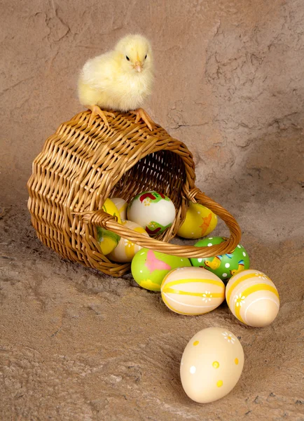 Easter chick on wicker basket — Stock Photo, Image