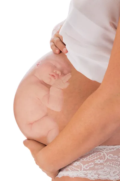 Bébé à naître dans le ventre enceinte Images De Stock Libres De Droits