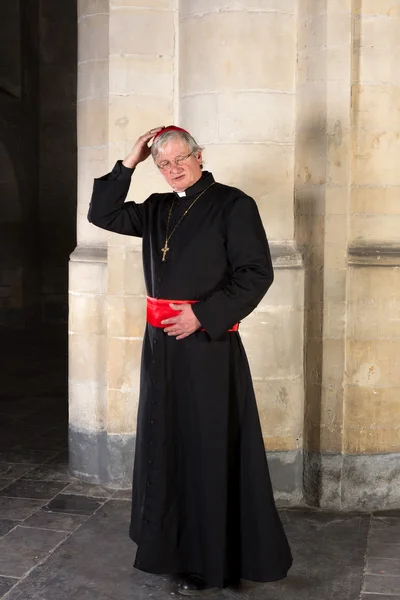 Cardenal con zucchetta — Foto de Stock