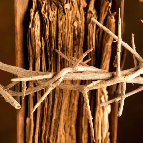 Bible and crown of thorns — Stock Photo, Image