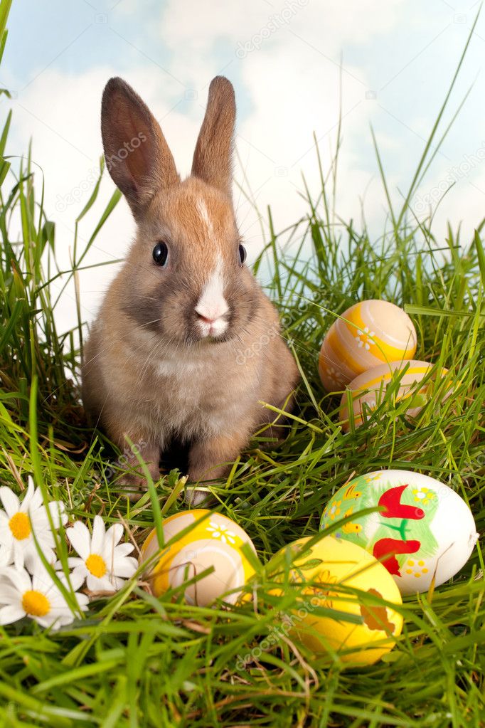 What Is the Easter Bunny Origin Story? - History of Easter Bunny