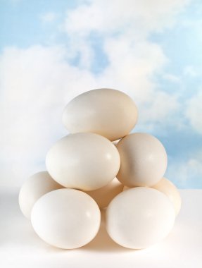 yumurta yığınını