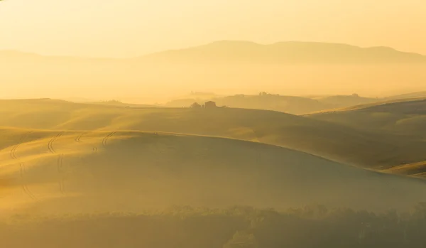 Gouden heuvels van Toscane — Stockfoto