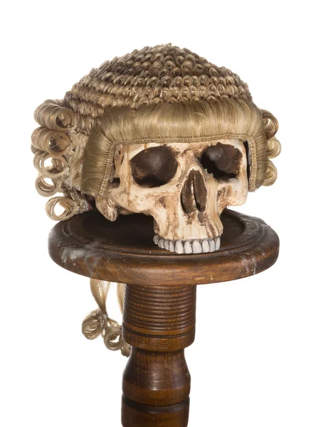 Ізольований череп з дворовою перукою — стокове фото