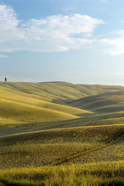 Glooiende heuvels van Toscane in de buurt van Pienza — Stockfoto