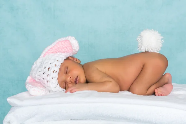 Kleine rabit baby — Stockfoto