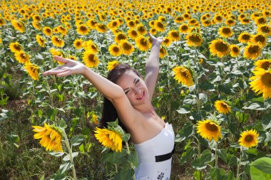 Ayçiçeği alana şarkı