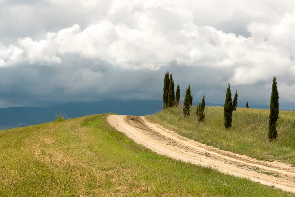 Tuscan clouds and cypress trees — Stock Photo, Image