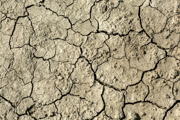 Barren soil — Stock Photo, Image