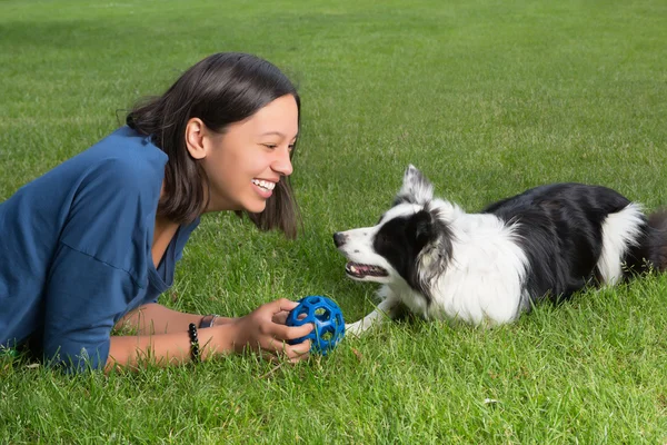 Fetch the ball — Stock Photo, Image