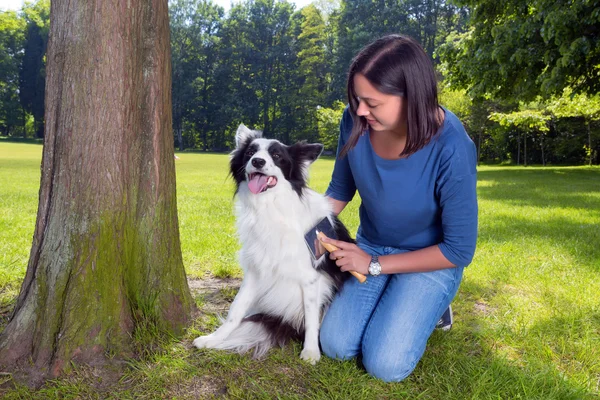 Het verzorgen van de hond — Stockfoto