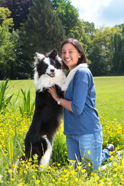 Hond vriendschap — Stockfoto